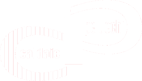 Pelucchi Caldaie